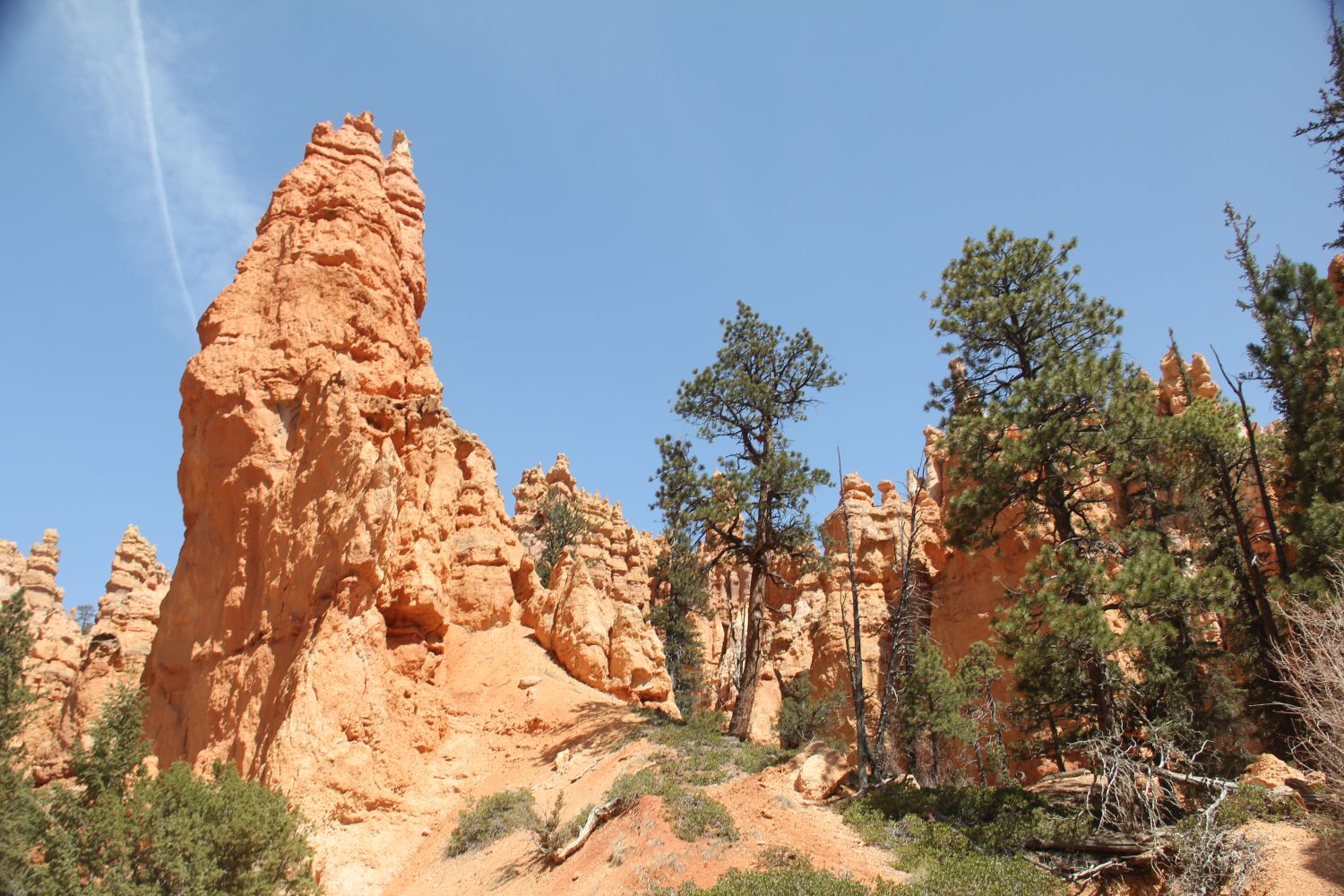 Queens/Navajo 